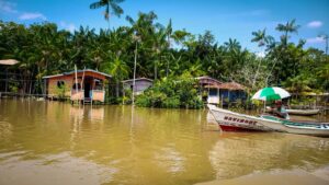 Começa o “verão amazônico”: melhor época para visitar a Ilha do Combu